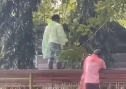 Bupati Sidrap Tertimpa Pohon Saat Kerja Bakti