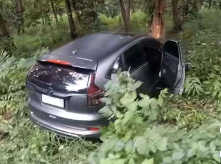Kecelakaan Beruntun Terjadi di Hutan Baluran Situbondo, Diduga Akibat Pecah Ban