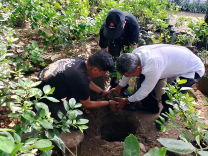 Hari Bumi 2025: Kemenag Tanam Sejuta Pohon Matoa Serentak di Indonesia