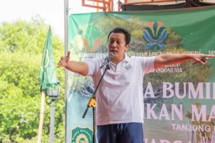 Wamen LH: Menanam Mangrove Harus Diiringi Perawatan yang Konsisten