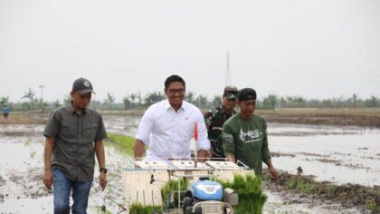 Wamen Pertanian Dorong Riset dan Inovasi untuk Pertanian yang Tangguh dan Modern