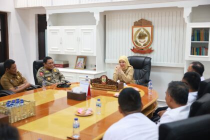Aliyah Mustika Ilham Sambut Audiensi Imigrasi Sulsel, Bahas Penguatan Pengawasan Pengungsi Asing
