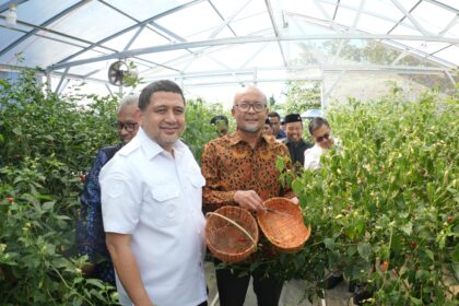 Wali Kota Makassar Dorong Urban Farming untuk Ketahanan Pangan dan Ekonomi Mandiri