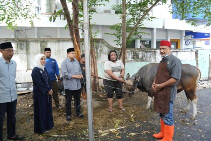 Wali Kota Munafi dan Wawali Aliyah Saksikan Penyembelihan Hewan Kurban Pemkot Makassar
