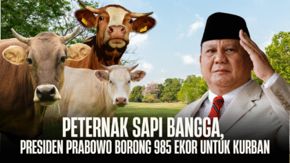 Peternak Sapi Bangga: Presiden Prabowo Borong 985 Ekor untuk Kurban, APPSI Sebut Ini 'Naik Kelas'