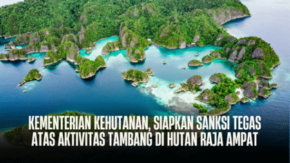 Kementerian Kehutanan Siapkan Sanksi Tegas atas Aktivitas Tambang di Hutan Raja Ampat