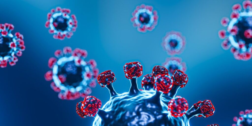 Mewaspadai Virus Hanta: Delapan Kasus Terkonfirmasi di Indonesia, Semua Pasien Telah Sembuh