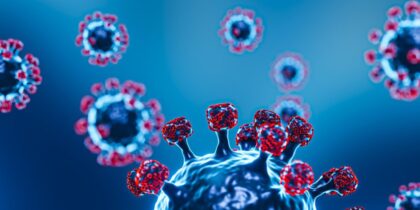 Mewaspadai Virus Hanta: Delapan Kasus Terkonfirmasi di Indonesia, Semua Pasien Telah Sembuh