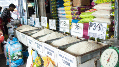 Rencana Pemerintah Hapus HET Beras Medium dan Premium: Respons Terhadap Keresahan Pedagang - Beras - Gambar 503