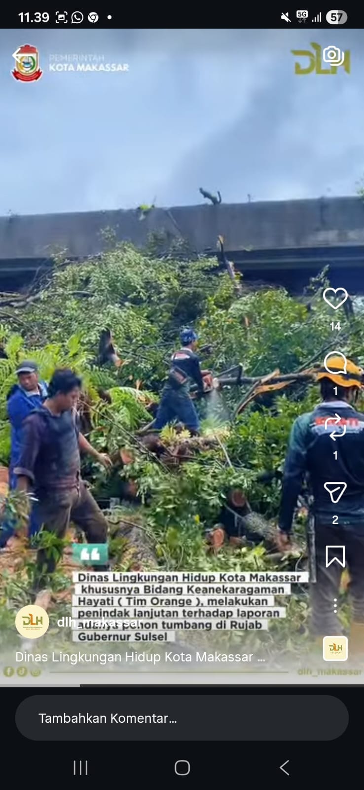Pohon Tumbang Mengganggu Jalan? Laporkan ke DLH Makassar, Ini Nomor Pengaduannya
